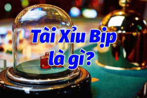 Tài xỉu bịp là gì